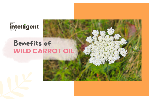 Wild Carrot Oil : Uses, Benefits & Side Effects