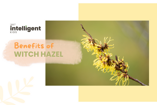 Witch Hazel : Uses, Benefits & Side Effects