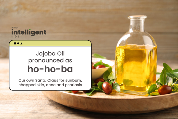 Jojoba oil: Uses, Benefits & Side Effects