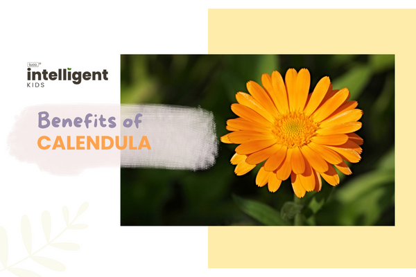 Calendula: Uses, Benefits, Side Effects