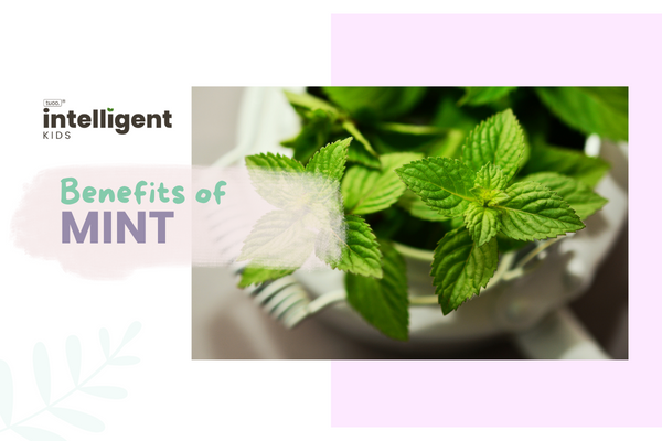 Mint: Uses, Benefits & Side Effects