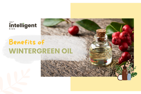Wintergreen oil : Uses, Benefits & Side Effects