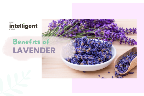 Lavender : Uses, Benefits & Side Effects