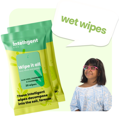 Wipe it All- 20 wipes (Pack of 2)